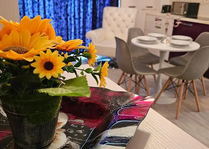 公寓 Luxury Promenada In Building Stefan Prima Linie La Mare 那沃达利